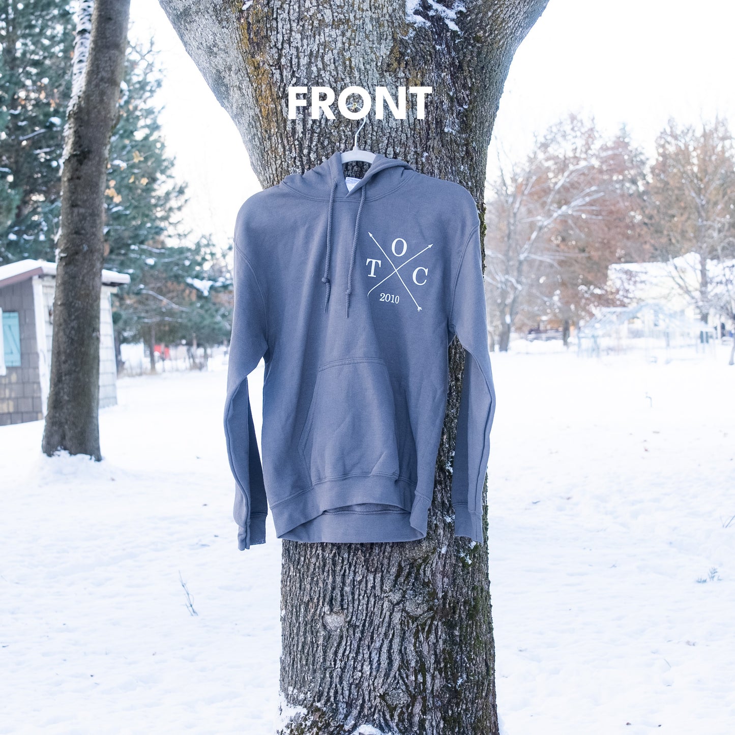 Hoodie (Grey)